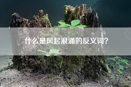 什么是风起浪涌的反义词？