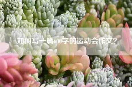 如何写一篇600字的运动会作文？