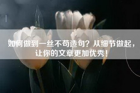 如何做到一丝不苟造句？从细节做起，让你的文章更加优秀！