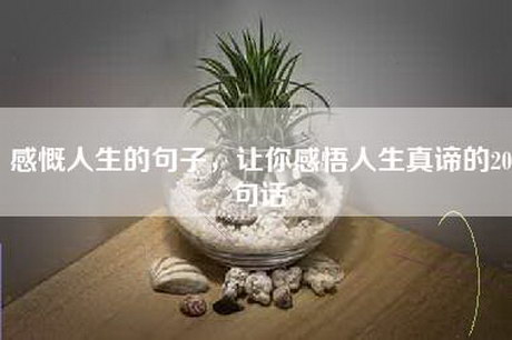 感慨人生的句子，让你感悟人生真谛的20句话