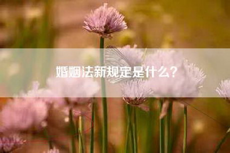 婚姻法新规定是什么？