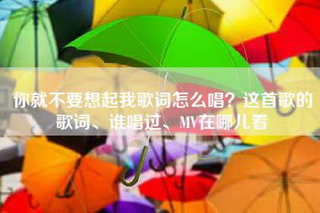 你就不要想起我歌词怎么唱？这首歌的歌词、谁唱过、MV在哪儿看