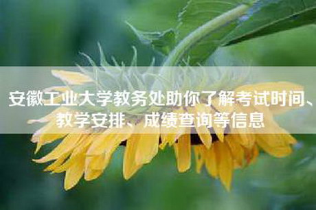 安徽工业大学教务处助你了解考试时间、教学安排、成绩查询等信息