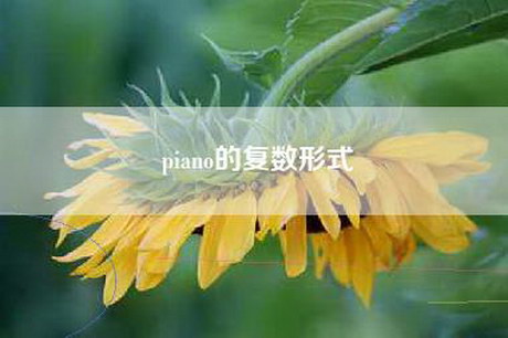 piano的复数形式