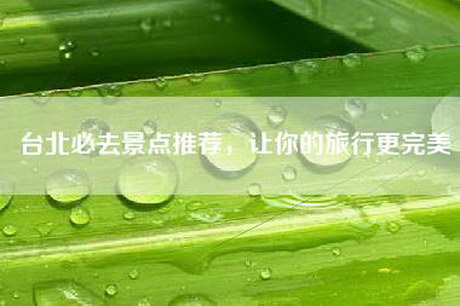 台北必去景点推荐，让你的旅行更完美
