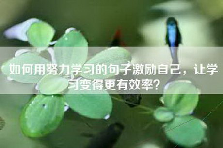 如何用努力学习的句子激励自己，让学习变得更有效率？