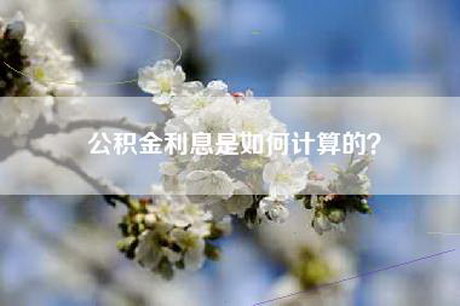 公积金利息是如何计算的？