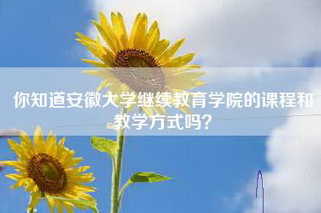 你知道安徽大学继续教育学院的课程和教学方式吗？