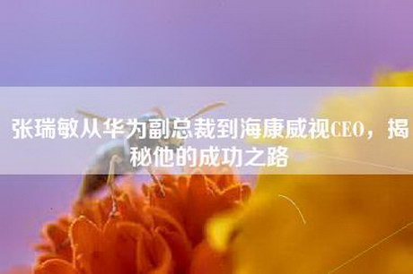 张瑞敏从华为副总裁到海康威视CEO，揭秘他的成功之路