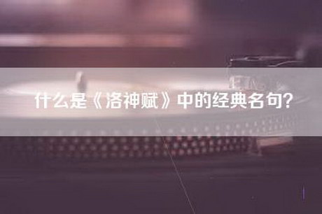 什么是《洛神赋》中的经典名句？