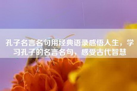 孔子名言名句用经典语录感悟人生，学习孔子的名言名句，感受古代智慧