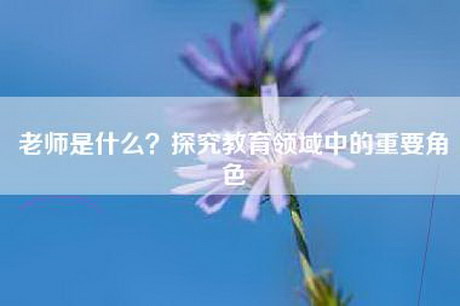 老师是什么？探究教育领域中的重要角色