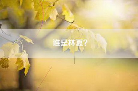 谁是林夏？