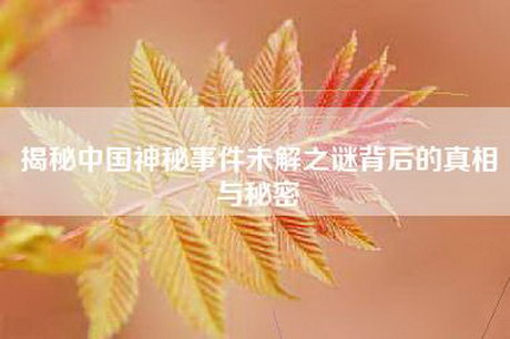 揭秘中国神秘事件未解之谜背后的真相与秘密