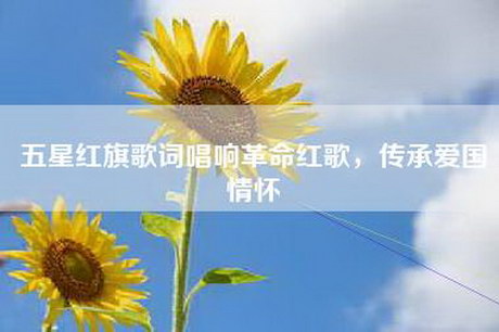 五星红旗歌词唱响革命红歌，传承爱国情怀