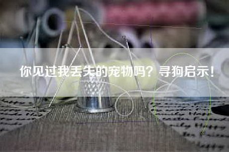 你见过我丢失的宠物吗？寻狗启示！