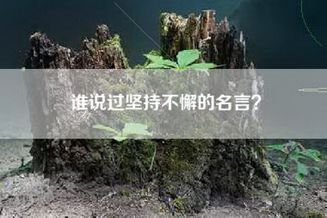 谁说过坚持不懈的名言？