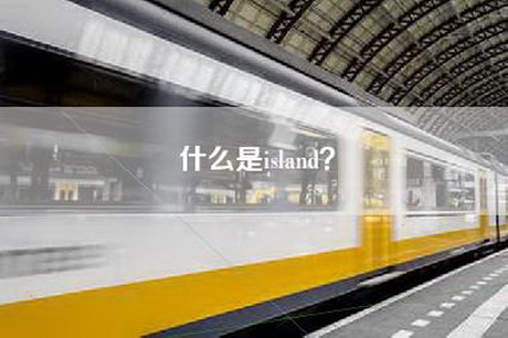 什么是island？