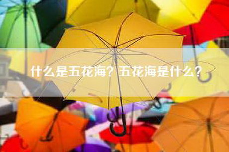 什么是五花海？五花海是什么？