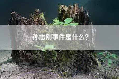 孙志刚事件是什么？