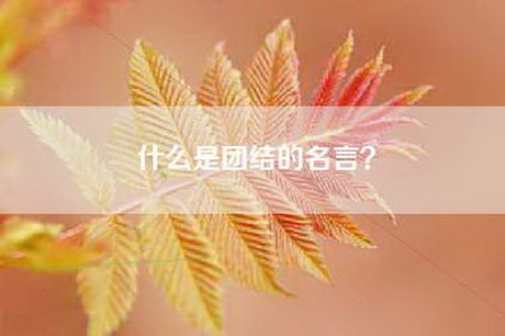 什么是团结的名言？