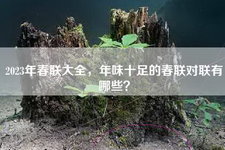 2023年春联大全，年味十足的春联对联有哪些？