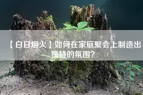 【白日烟火】如何在家庭聚会上制造出独特的氛围？