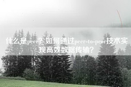 什么是peer？如何通过peer-to-peer技术实现高效数据传输？