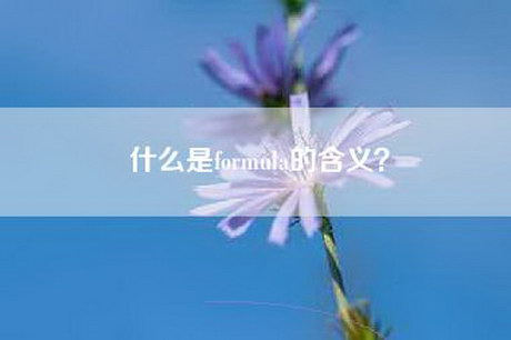 什么是formula的含义？