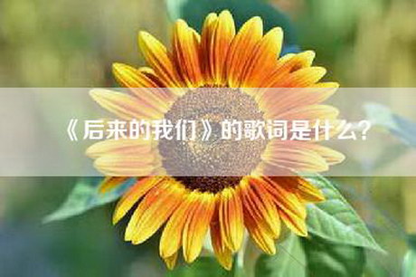 《后来的我们》的歌词是什么？