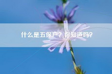 什么是五保户？你知道吗？