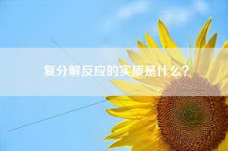 复分解反应的实质是什么？