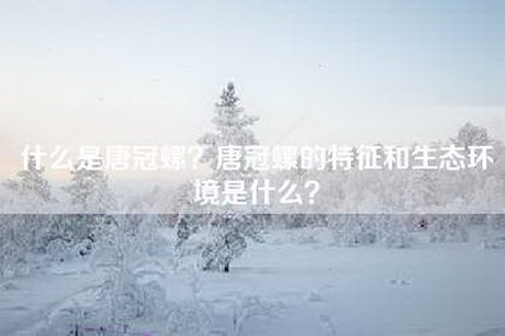 什么是唐冠螺？唐冠螺的特征和生态环境是什么？