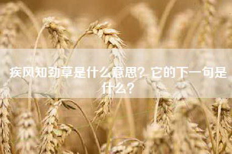 疾风知劲草是什么意思？它的下一句是什么？