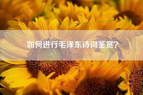 如何进行毛泽东诗词鉴赏？