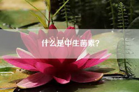 什么是中生菌素？