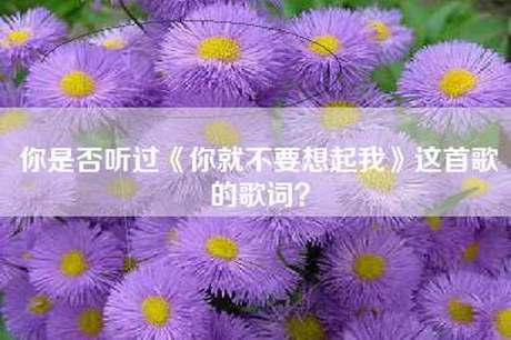 你是否听过《你就不要想起我》这首歌的歌词？