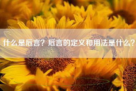 什么是卮言？卮言的定义和用法是什么？