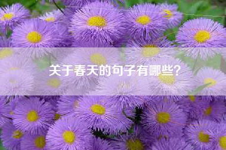 关于春天的句子有哪些？