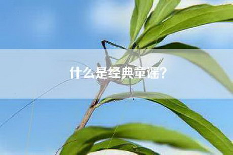 什么是经典童谣？