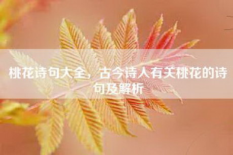 桃花诗句大全，古今诗人有关桃花的诗句及解析