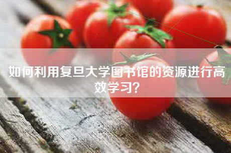 如何利用复旦大学图书馆的资源进行高效学习？