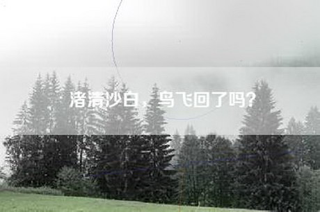 渚清沙白，鸟飞回了吗？