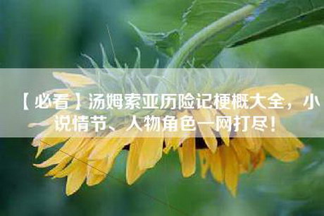 【必看】汤姆索亚历险记梗概大全，小说情节、人物角色一网打尽！