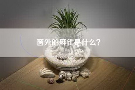 窗外的麻雀是什么？