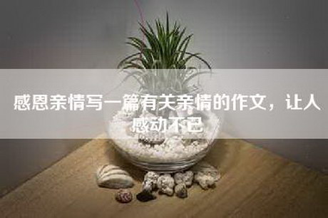 感恩亲情写一篇有关亲情的作文，让人感动不已