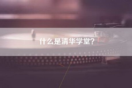 什么是清华学堂？