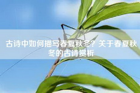 古诗中如何描写春夏秋冬？关于春夏秋冬的古诗赏析