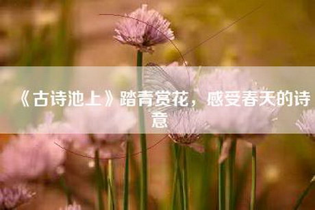 《古诗池上》踏青赏花，感受春天的诗意