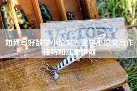 如何写好数学小论文？数学小论文写作技巧和注意事项